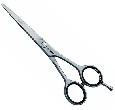 Image de Jaguar Satin White Line Argent 6,5 pouces