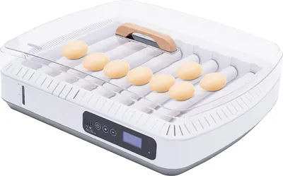 Zdjęcie produktu dla 35 Inkubator do jaj Automatyczny inkubator do jaj wylęgowych Inkubator do jaj kurzych z oświetleniem do jaj wylęgowych Jaja kacze i przepiórcze