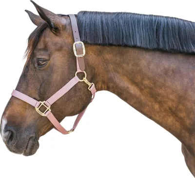 Produktbild von Kentucky Horsewear Halfter Breakaway Nylonhalfter Altrosa Cob