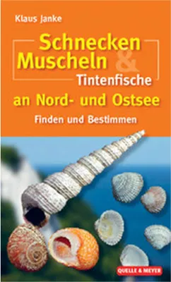Immagine prodotto di Schnecken, Muscheln & Tintenfische an Nord- und Ostsee
