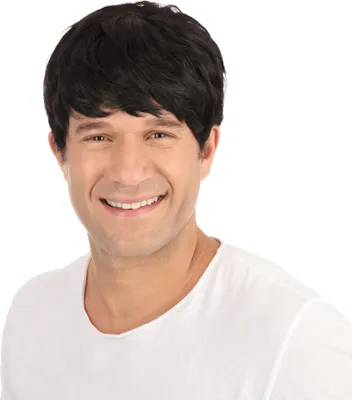 Produktbild von Bristol Novelty Herren Kurzhaar Perücke BN402 (Einheitsgröße) (Schwarz)