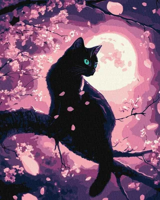 Produktbild von Malen nach Zahlen – Charmante Katze 40x50cm