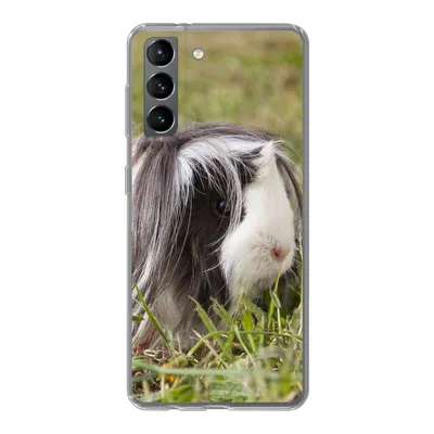 Produktbild von MuchoWow® Handyhülle Schutzhülle Hülle für Samsung Galaxy S21 Langhaar-Meerschweinchen Silikon Softcase Handy Hülle - Softcase