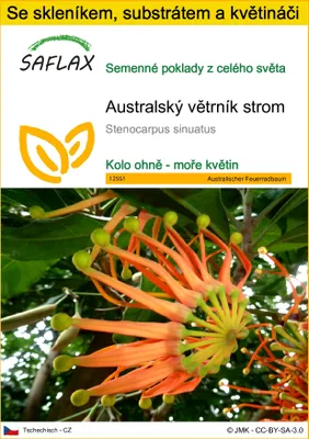 Obrázek produktu pro SAFLAX Kultivační sada - Australský větrník strom - Stenocarpus sinuatus - 20 Semena - S mini skleníkem, pěstebním substrátem a 2 květináči