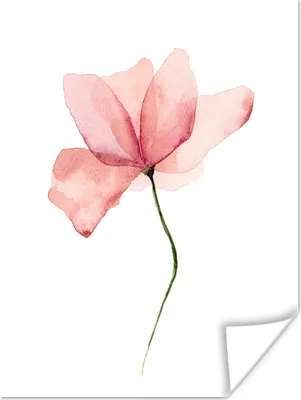 Produktbild von MuchoWow® Poster Blumen - Aquarell - Rosa 90x120 cm - Wohnzimmer