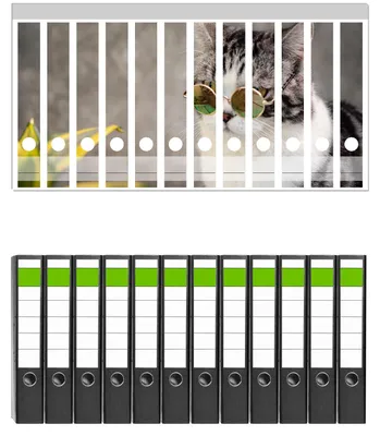 Produktbild von Wallario 12 Stück schmale Ordner inkl. Klebeetiketten mit Motive Katze mit Stil -  Set mit Rückenschildern / Ordnerrücken Stickern