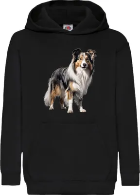 Zdjęcie produktu dla Dziecięca Bluza Z Kapturem Dogs Breeds Collie Dog Breed 005, 5-6 Jahr - 116 / Czarny