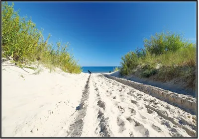Produktbild von Wallario Wandbild Auf dem Sandweg zum Strand - Blauer Himmel über dem Meer, Größe: 70,30 x 100,30 cm, Poster mit schwarzem Aluminiumrahmen