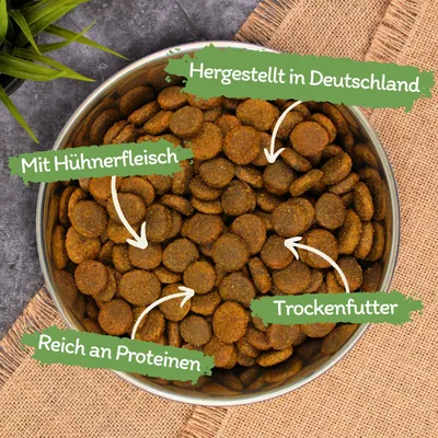 Productafbeelding van 4 - 12 kg Lecker.Pet® Gino's Adult Maxi met kip hondenvoer, droogvoer, complete voeding. Ten minste houdbaar tot 4/2026. 480 kg. Ten minste houdbaar tot