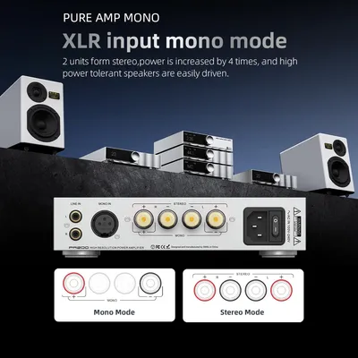 Obrázek produktu pro PA200: Zesilovač výkonu, mono, s XLR a RCA vstupy
