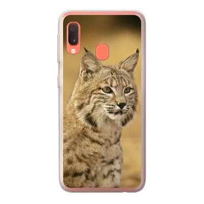 Produktbild von MuchoWow® Handyhülle Schutzhülle Hülle für Samsung Galaxy A20e Luchs - Braun - Gras Silikon Softcase Handy Hülle - Abdeckung