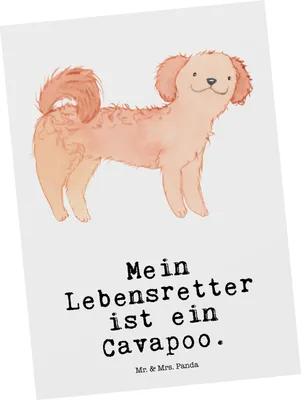 Produktbild von Mr. & Mrs. Panda Postkarte Cavapoo Lebensretter - Weiß - Geschenk, Cavoodle, Ansichtskarte, Postkarten, Grußkarte, Ansichtskarten, Fotokarte