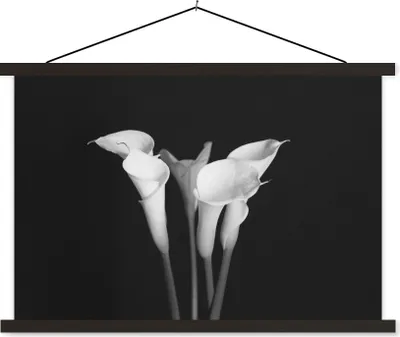Produktbild von MuchoWow® Textilposter Eine Nahaufnahme von Calla-Lilien-Blüten auf schwarzem Hintergrund 120x80 cm mit schwarzem Rahmen - Wanddeko