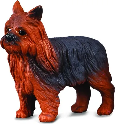 Immagine prodotto di COLLECTA Figurina di cane Yorkshire terrier 88078