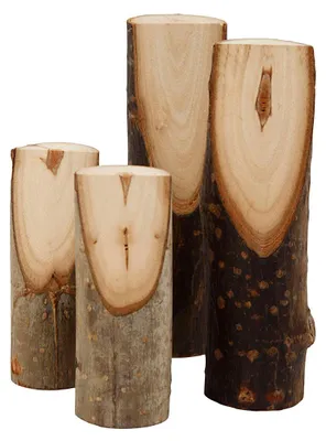 Immagine prodotto di Creativ Company CC Tronco d'albero decorativo 4 pezzi