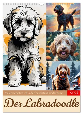 Produktbild von Der Labradoodle (Wandkalender 2027 DIN A3 hoch), CALVENDO Monatskalender