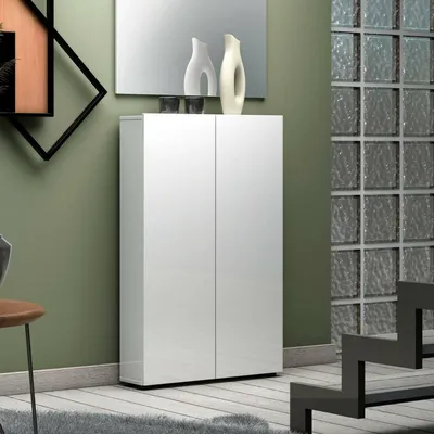 Produktbild von 2-türiger MehrzweckschrankDfranchin, Multifunktionale Möbel, Schuhschrank, Besenschrank, Italy, 70x19h115 cm, Glänzendes Weiß