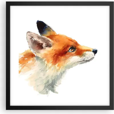 Produktbild von Gerahmtes Poster - Schwarzer Rahmen - Fuchs Tier Natur - 40x40 cm - Wand Bild - Wanddeko - Wandbilder - Kunstposter - Wandposter - Bilderrahmen - Bilder - Kunstdruck - Wandbild - P2BAC40x40-3904
