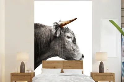 Produktbild von Tiermuster Wandtapete Schottische Hochlandlandschaft - Tiere - Kuh - Breite 225 cm x Höhe 350 cm