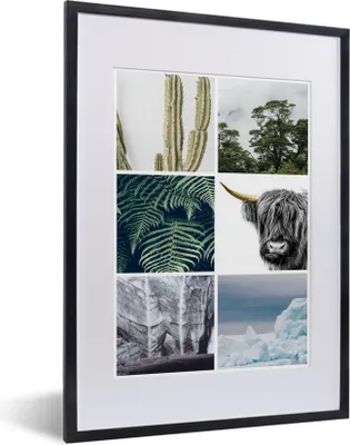 Produktbild von MuchoWow® MuchoWow® Gerahmtes Poster Schottisches Hochlandrind - Collage - Kaktus - Pflanzen 30x40 cm - Poster mit zchwarzem Bilderrahmen - Wandposter Schlafzimmer