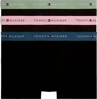 Imagen del producto de Tommy Hilfiger Um0um03890 0sx S EU