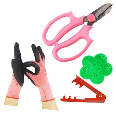 Productafbeelding van Rozenknipset met rozenstripper, doornenverwijderaar, tuinhandschoenen en handgereedschap