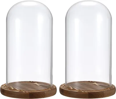 Produktbild von 2 Glaskuppeln mit Holzunterseite, Glastischplatten, Displays