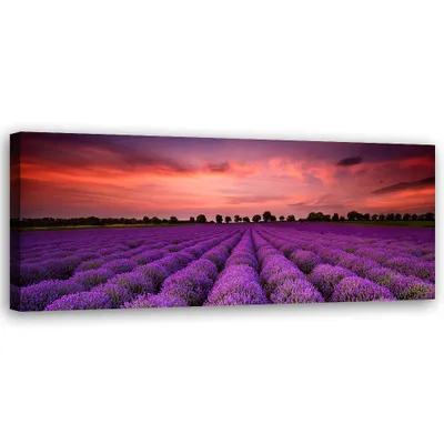 Produktbild von Leinwandbild Feld mit violetten Blumen 120x40 Feeby Violett bild für die wand bereit zum aufhängen