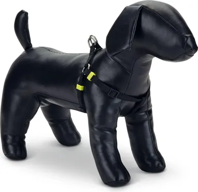 Produktbild von Beeztees Uni - Hundegeschirr - schwarz - 46-75 cm x 20 mm