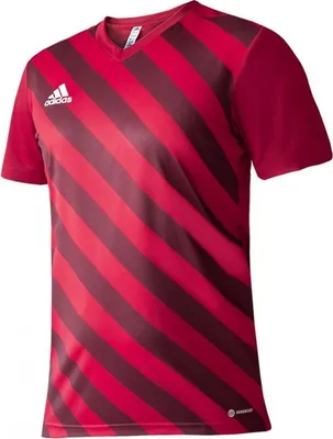 Produktbild von Maglia Adidas Entrada 22 Graphic Jr.H58983 Pullunder adidas Größe: 164 cm,