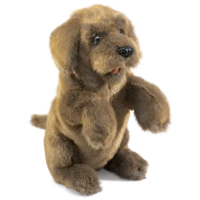 Produktbild von Folkmanis Sitting, Handpuppe, Tier, 1 Stück(e)