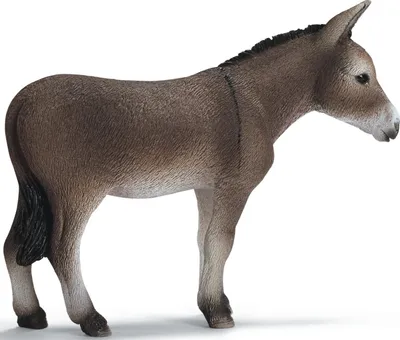 Produktbild von Schleich 13644 - Farm Life - Esel