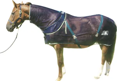 Produktbild von Fliegennetzdecke Protector, Gr. 135 cm *** in 135