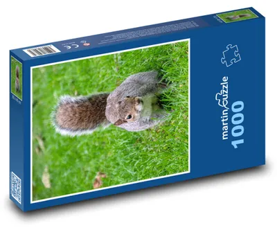 Obrázek produktu pro Puzzle 1000 Veverka na Zelené Louce - martinpuzzle