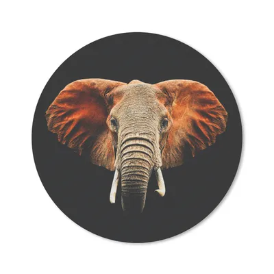Produktbild von MuchoWow® Mauspad Mousepad Elefant - Tiere - Farben 30x30 cm - Mousepads - Maus Mat - Pad - Mausunterlage - Tischunterlage - Schreibtischmatten