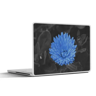 Produktbild von MuchoWow® Laptop Aufkleber Sticker Cover Blumen - Schwarz - Weiß - Blau 25x18 cm - Laptop-Deko