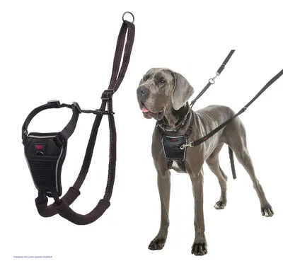 Productafbeelding van Nobby HALTI Anti-trek tuig: Maat: 80-120 cm