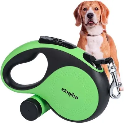 Produktbild von Famanu Hundeleine Flexibel 8 Meter - Grün