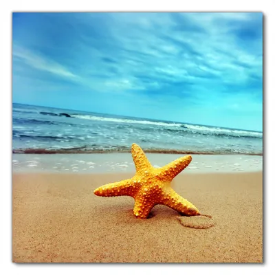 Produktbild von Wallario selbstklebende Möbelfolie/ Tischdecke für Innen und Außen, Größe: 90 x 90 cm - Seestern am Strand am Meer