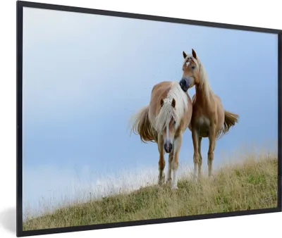 Produktbild von MuchoWow® Gerahmtes Poster Haflinger Pferde auf der Wiese 90x60 cm - Poster mit Schwarzem Bilderrahmen Wandposter Rahmen Foto Bilder - Fotorahmen - Foto-Plakat
