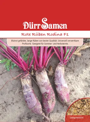 Produktbild von Rote Rübe Rodina F1 | Rübensamen von Dürr Samen