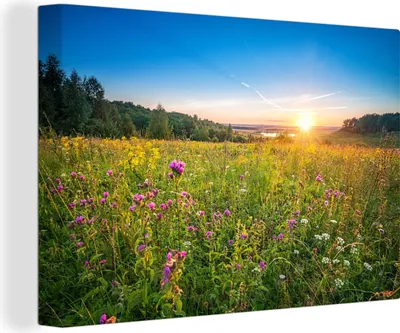 Obrázok produktu pre OneMillionCanvasses® - Obrazy na plátne - 140x90 cm, Slnko - Tráva - Kvety, Nástenná umelecká tlač Nástenná dekorácia - Fotografia na plátne - Maľba na drevenom ráme