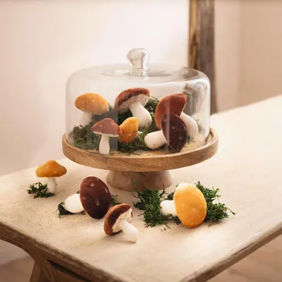 Productafbeelding van Serveerschaal mango hout met glazen deksel – kaasstolp, serveerplank