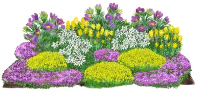 Produktbild von Dehner Bio Stauden-Set Alpenliebe, Landlust Kollektion, 18 Pflanzen für sonnige Standorte, je 2-15 cm exkl. Pflanztopf, Ø Topf je 9 cm, lila / weiß / gelb / pink