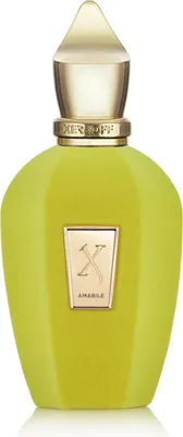 Obrázek produktu pro Xerjoff " V " Amabile EDP 100 ml UNISEX