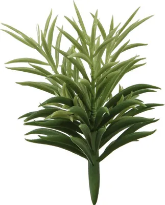 Obrázok produktu pre Fink SUKKULENTE, umelý kvet, syntetické vlákna, zelená farba, d. 24 cm hĺbka: 24.00cm 185391