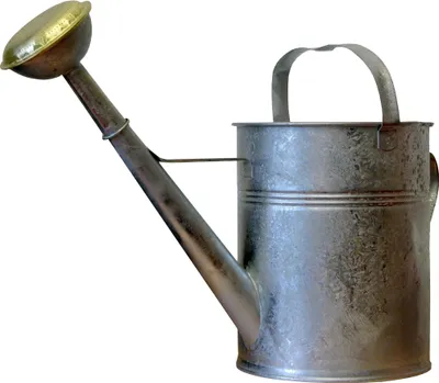 Produktbild von Giesskanne Metall 9 Liter, mit Brausespritzkopf