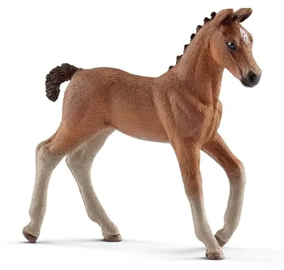 Productafbeelding van Schleich Farm Life 13818, bruin
