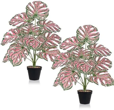 Produktbild von Geoptimierte Titel  Unyqoos® Lebensnahe Kunst Monstera Pflanze 65 cm - Ideal für Wohn- und BürodekoKurze Verkaufsbeschreibung  Verleihen Sie Ihrem Raum mit der Unyqoos® Lebensnahen Kunst Monstera Pflanze einen Hauch von tropischem Flair. Diese 65 cm hohe Pflanze ist perfekt für die Dekoration von Zuhause und im Büro geeignet.Ausführliche Produktbeschreibung  Die Unyqoos® Lebensnahe Kunst Monstera Pflanze ist aus hochwertigem, langlebigem Material gefertigt, das eine realistische Optik und Haptik bietet. Sie