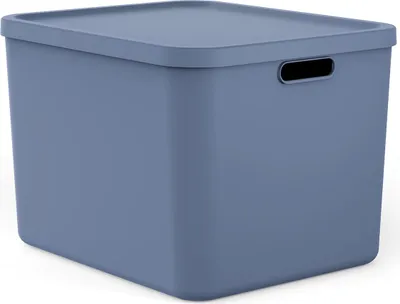 Produktbild von Rotho Albula Multibox 55L Blauw